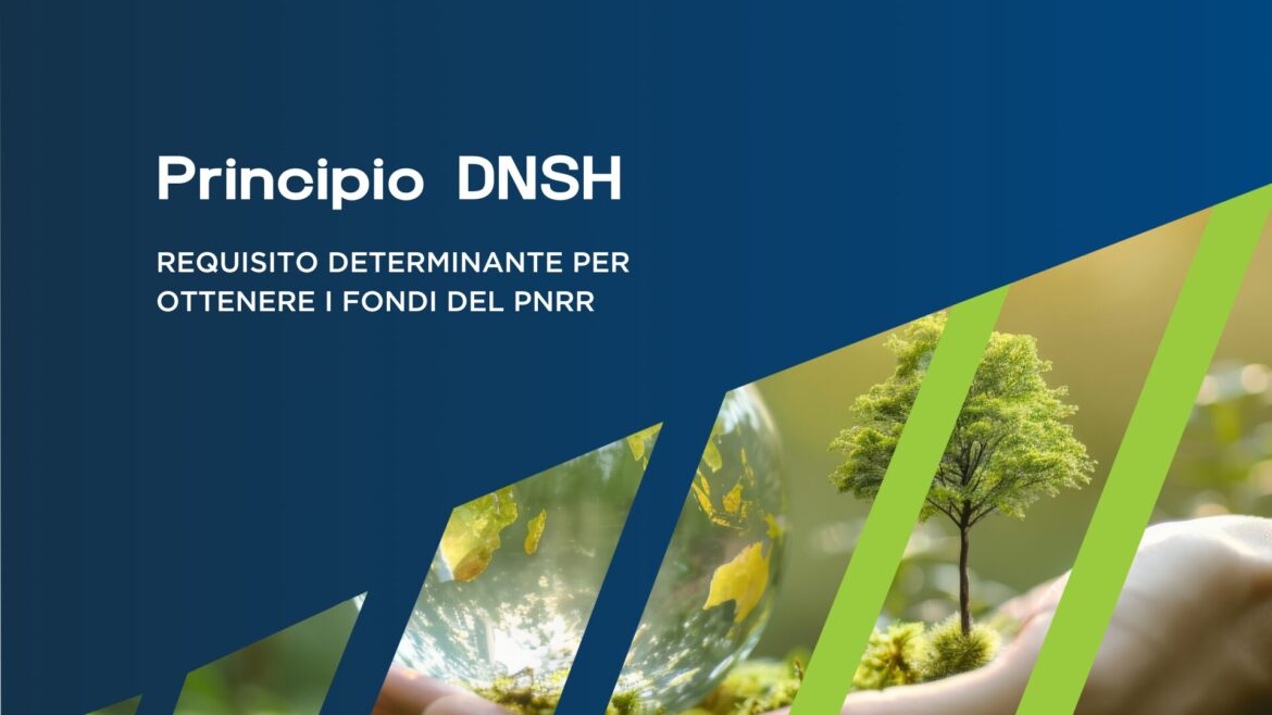 DNSH