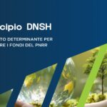 DNSH