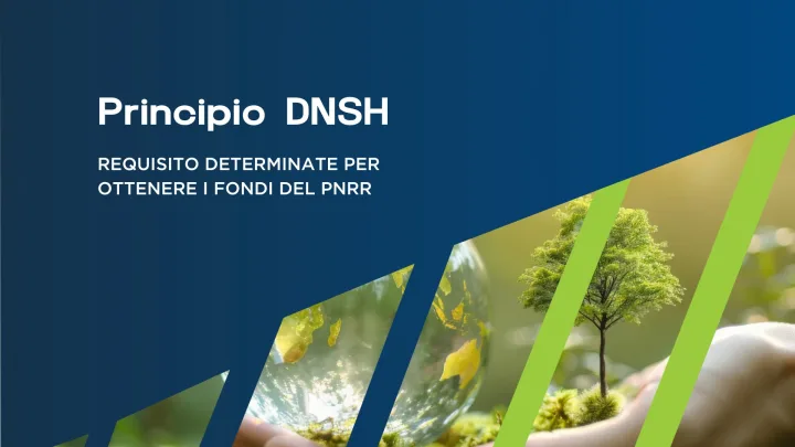 DNSH: cosa significa e perché è fondamentale per le imprese che vogliono accedere a contributi pubblici